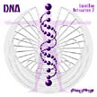 DNA.Level One-CD 2